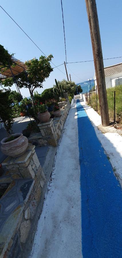 Jenny Apartments Καρλόβασι Εξωτερικό φωτογραφία
