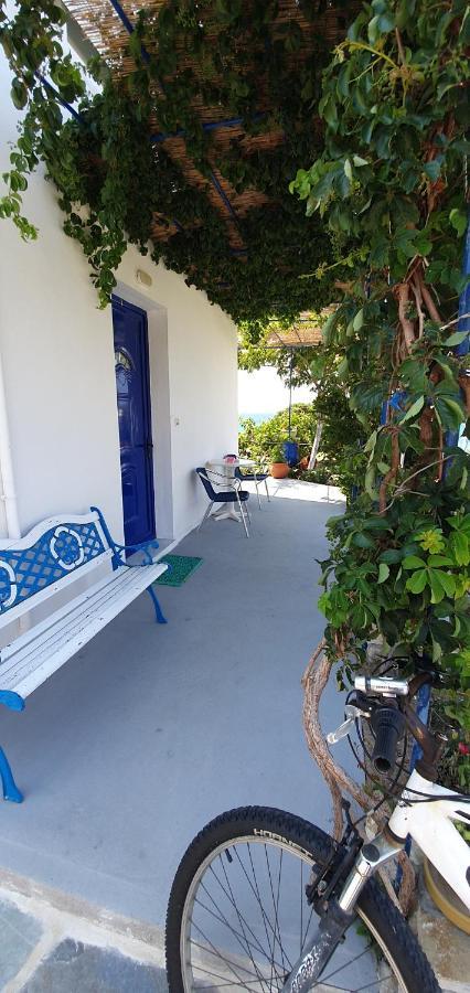 Jenny Apartments Καρλόβασι Εξωτερικό φωτογραφία
